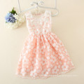 baby girls party dress/casual dress/Embroidery dress 3 colors